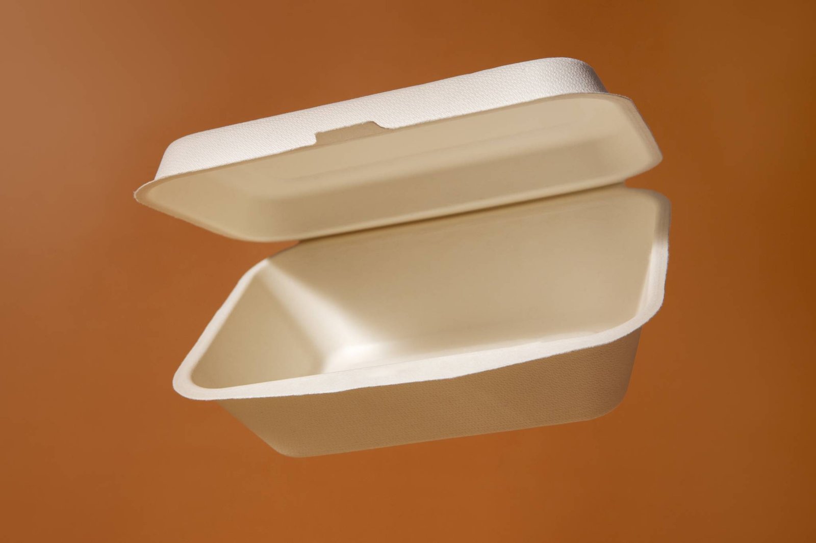 Bagasse takeaway container