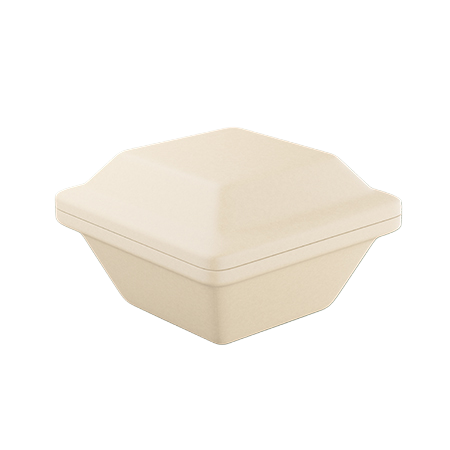 Bagasse Container